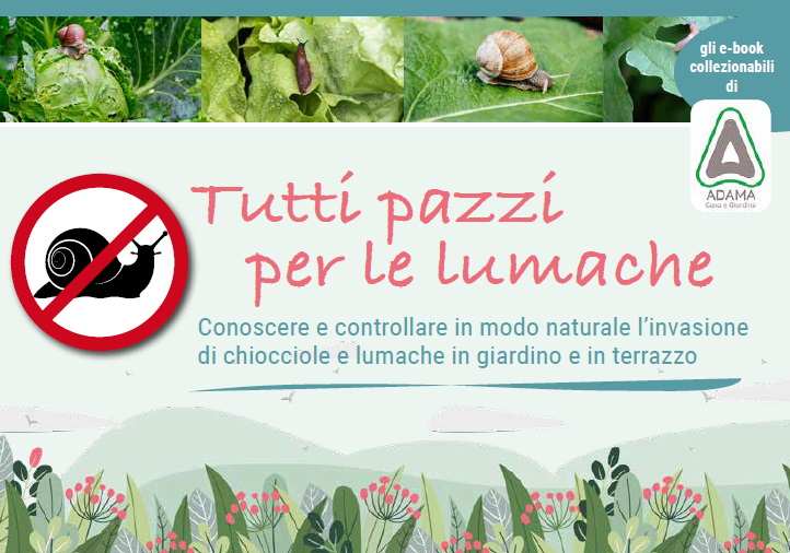 prevenzione-lumache prevenzione-lumache